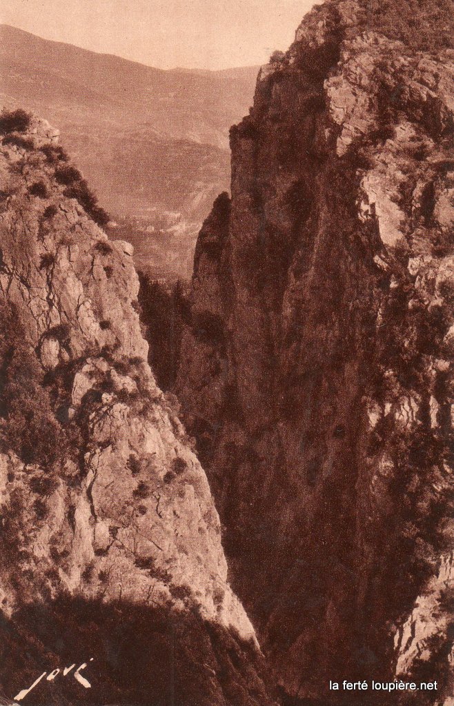 img479.jpg