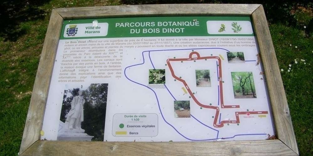 Marans 03 - Ce qu'il reste du Bois-Dinot (inauguration du parcours botanique du 1er juin 2013).jpg