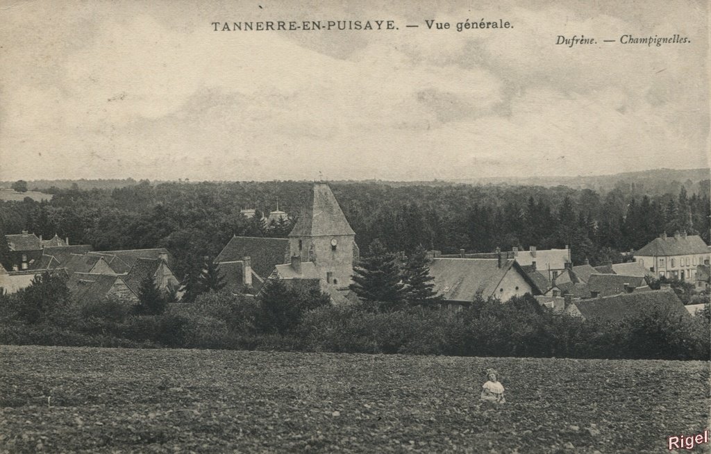 89-Tannerre-en-Puisaye - Vue Générale - Dufrène - Champignelles.jpg