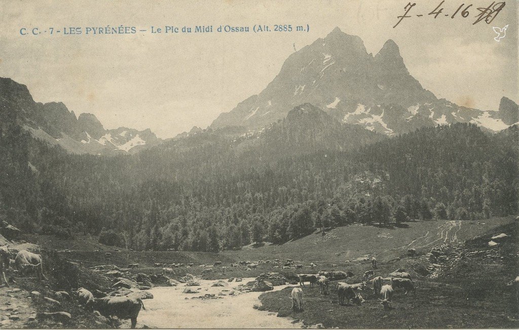 Z - CC 7 - Pic du Midi d'Ossau.jpg