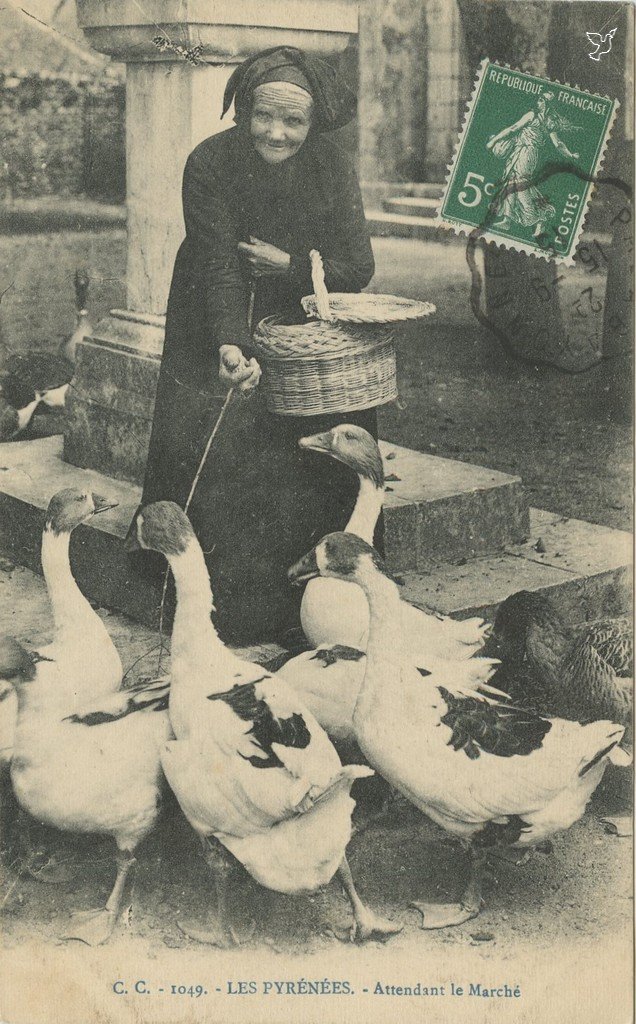 Z - CC 1049 - PYRENEES - Attendant le Marché.jpg