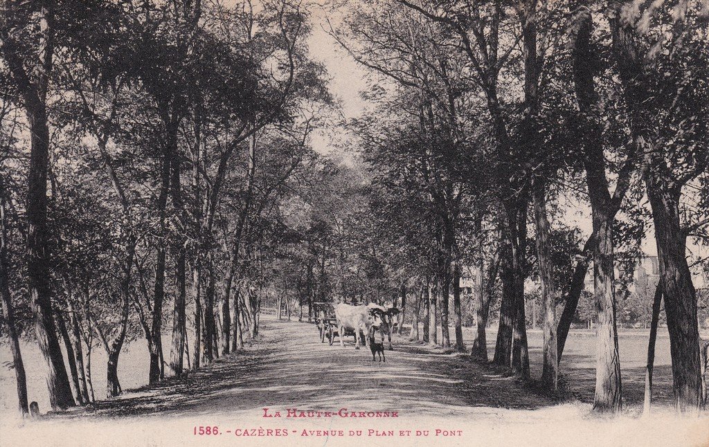 Cazères - Avenue du Plan de du Pont.jpg