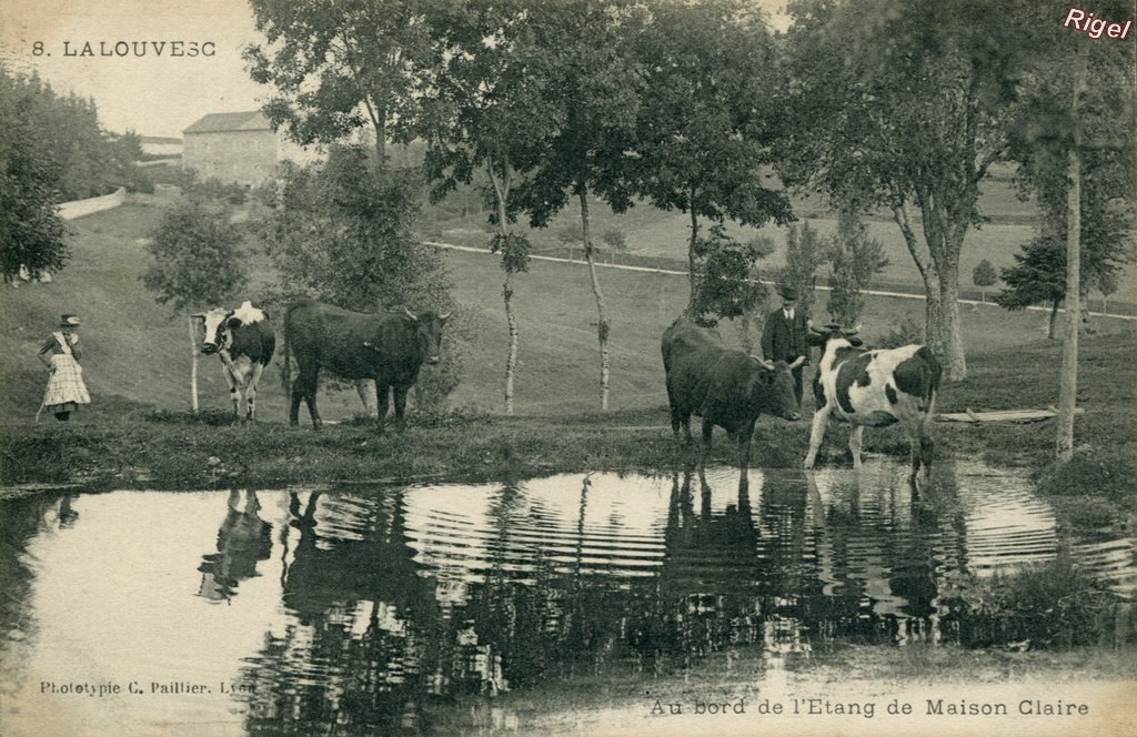 07-La Louvesc - Etang - 8 C Paillier.jpg