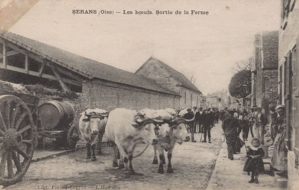 60 - SERANS - Les boeufs. Sortie de la Ferme - Edit. Picard-Legros - 16-01-22.jpg