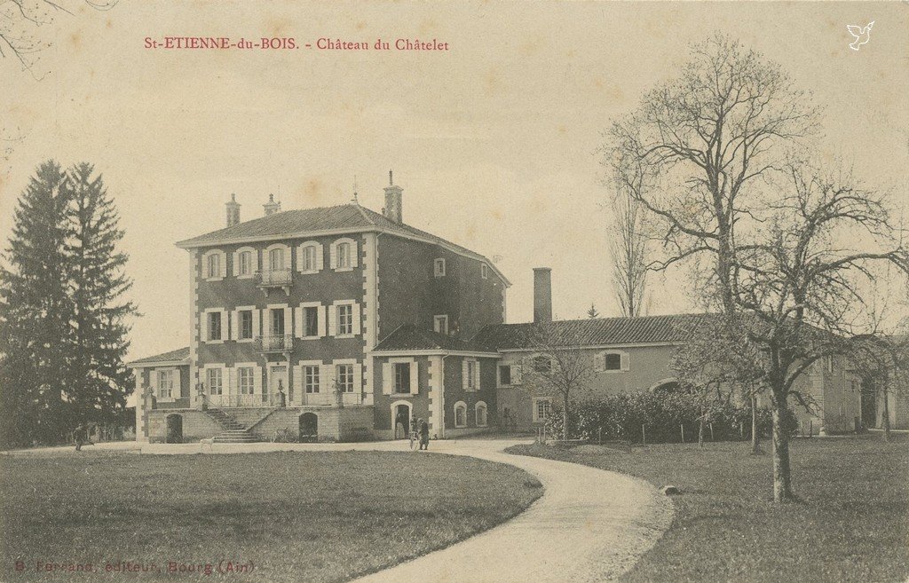 Z - SAINT-ETIENNE -DU-BOIS - Chateau du Chatelet.jpg