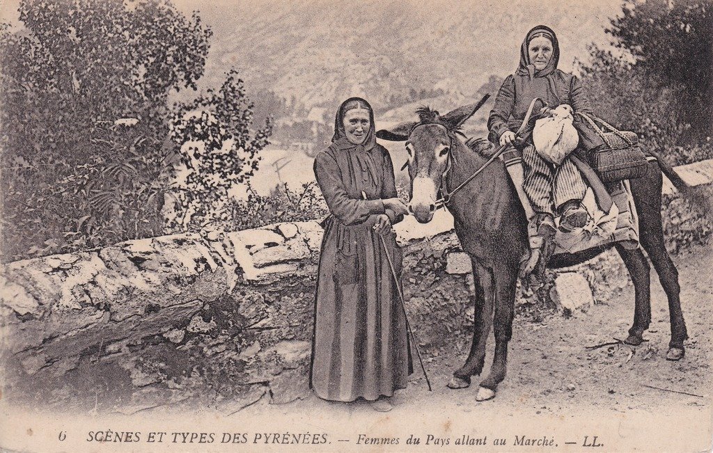 Scènes et types des Pyrénées - Femmes du Pays allant au Marché.jpg