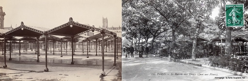 04 Le Marché aux fleurs (cliché Charles Marville 1873) - Le Marché aux fleurs (cliché Mimigégé, Cparama).jpg