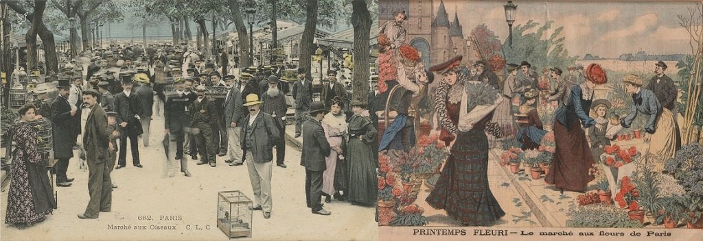 06 Le Marché aux oiseaux (cliché Zélig, Cparama) - Le Marché aux Fleurs de Paris.jpg