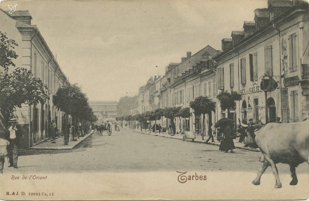 Z - 10801 Ca 12 - Rue de l'Orient.jpg