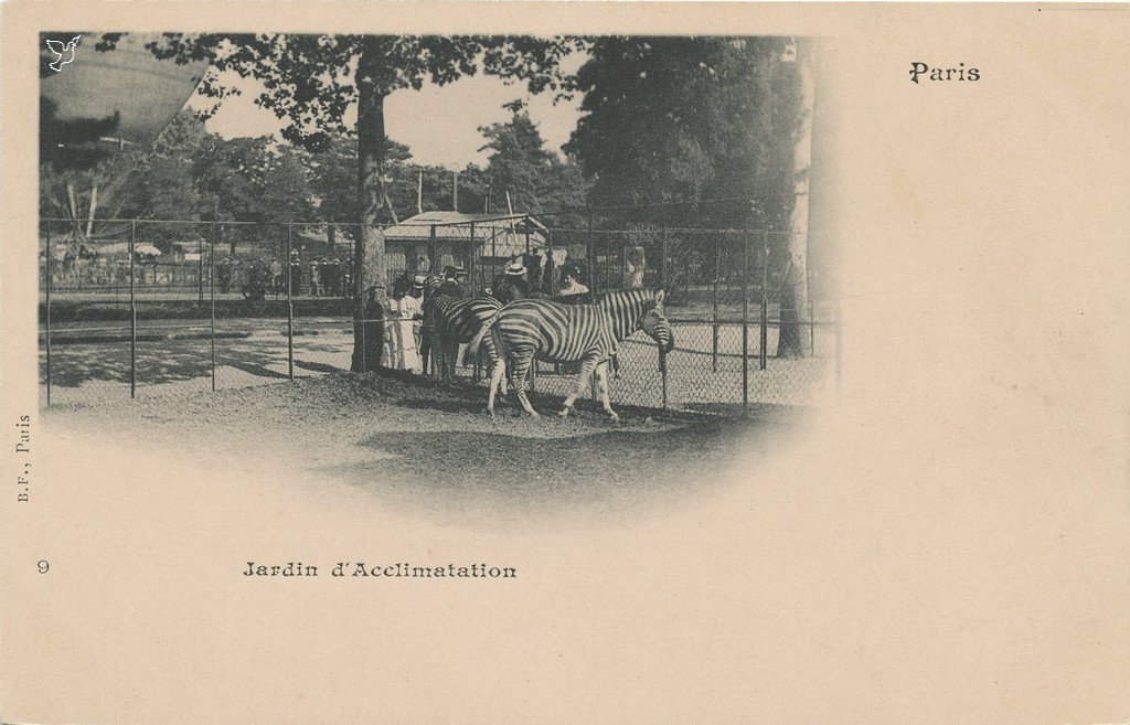 Z - 9 - Jardin d'Acclimatation.jpg