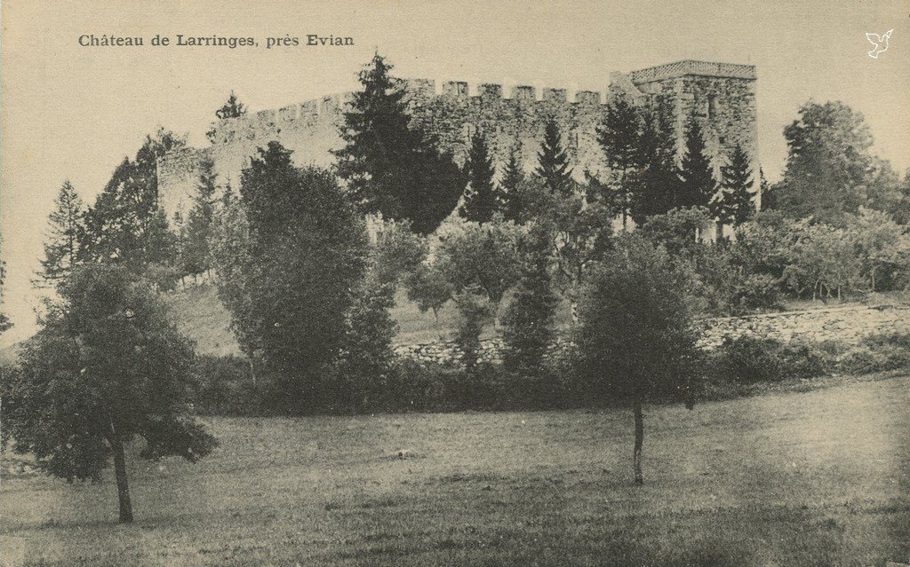 Z - LARRINGES - Le Chateau.jpg