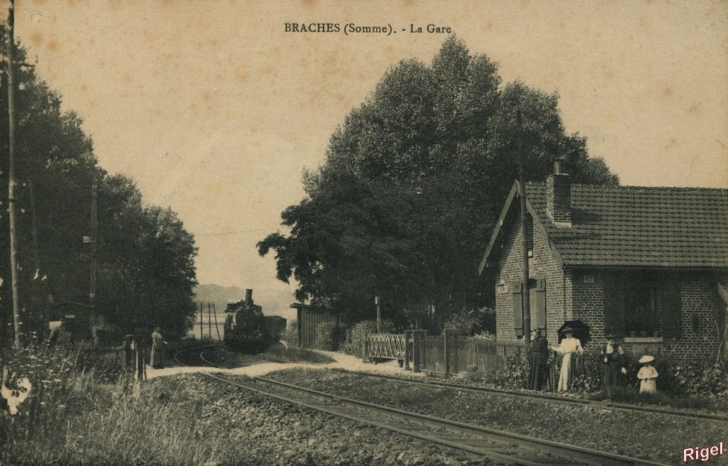 80-Braches - La Gare.jpg