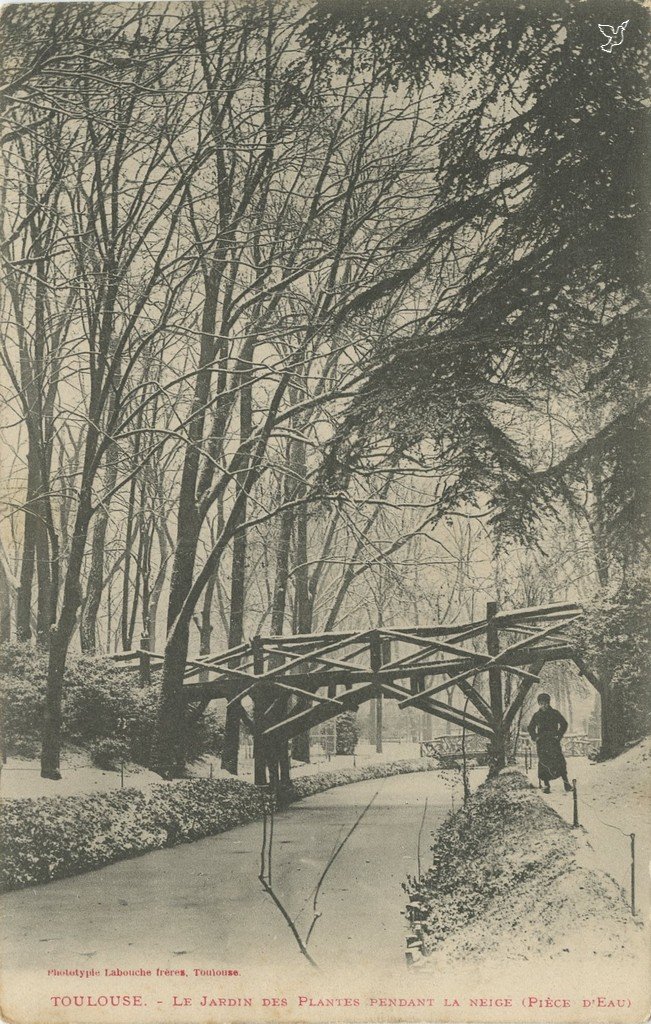 Z - Le Jardin des Plantes pendant la neige - Pièce d'eau.jpg