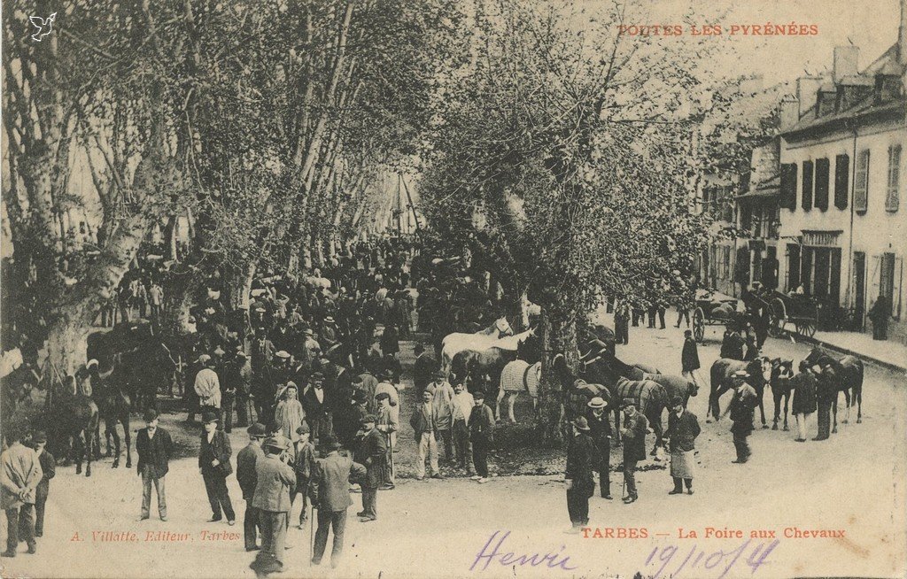 Z - TLP - La Foire aux Chevaux.jpg