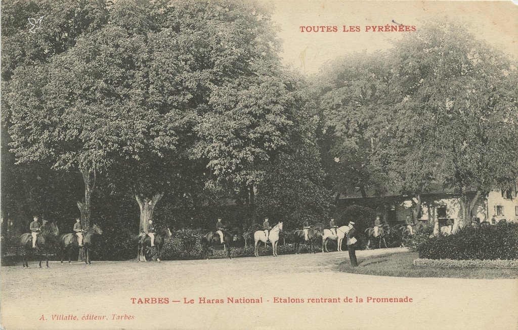 Z - TLP - Le Haras National - Etalons rentrant de la Promenade.jpg