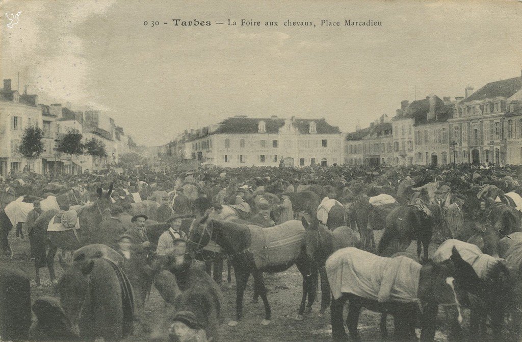 Z - AVT noir - 0.30 - La Foire aux chevaux - Place Marcadieu.jpg