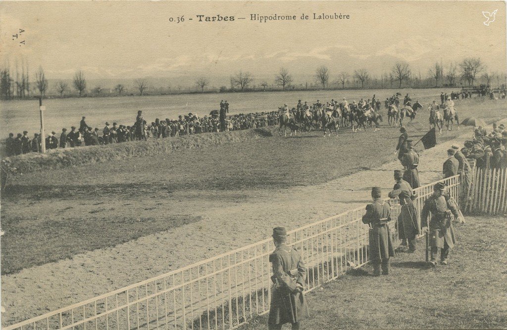 Z - AVT noir - 0.36 - Hippodrome de Laloubère.jpg