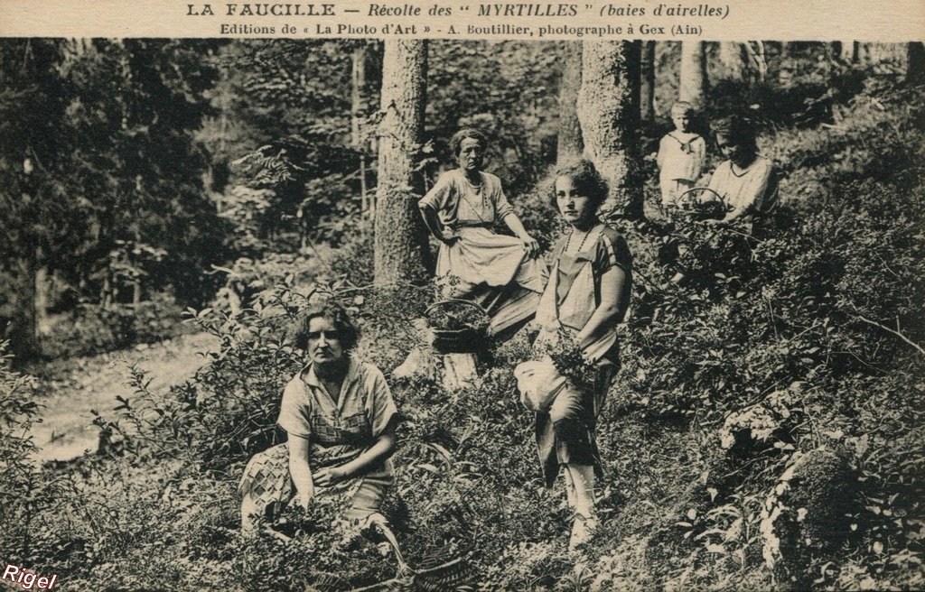 01-La Faucille - Récolte des Myrtilles.jpg