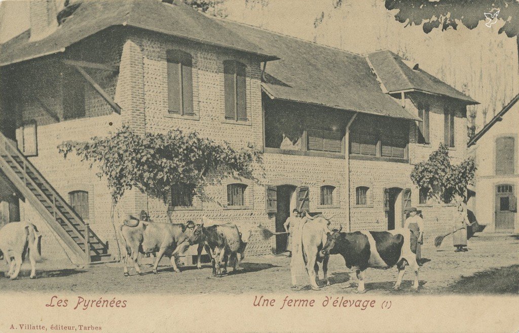 Z - Une ferme délevage (1).jpg