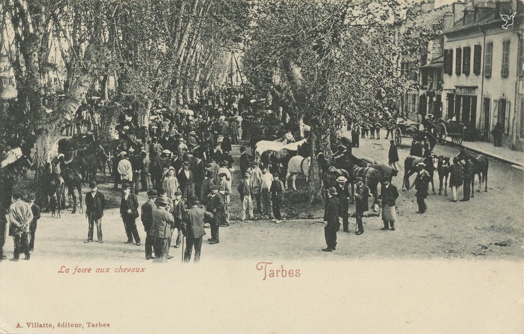 Z - La Foire aux chevaux.jpg