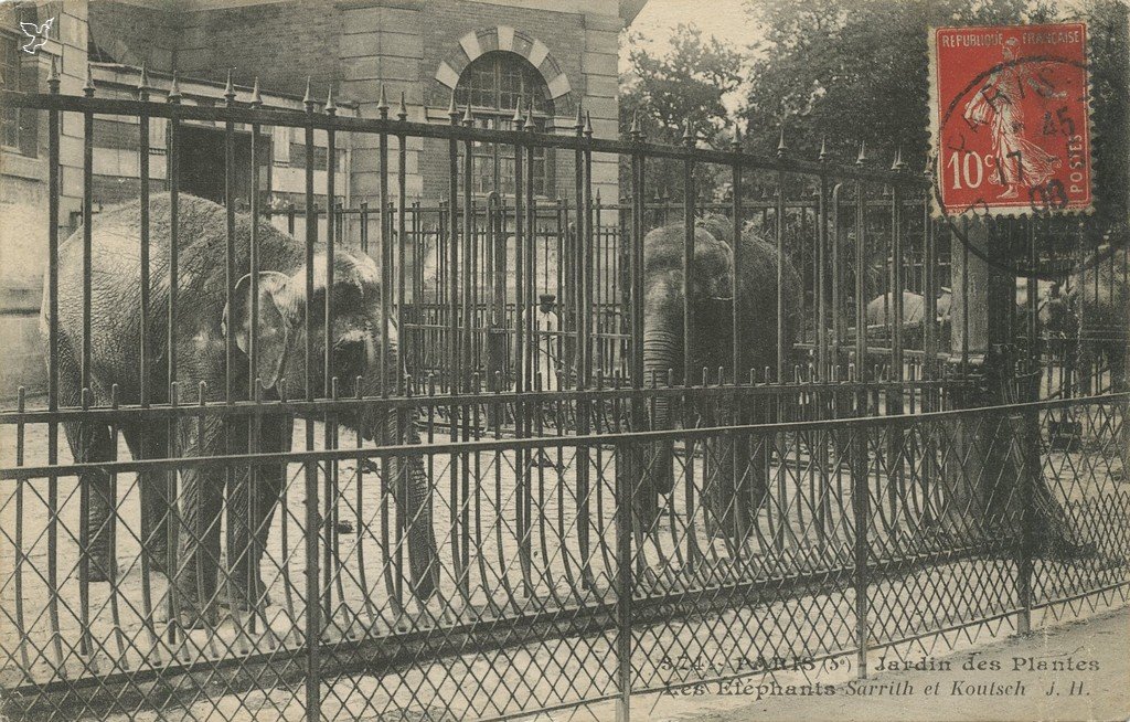 Z - 374 - Jardin des Plantes - Elephants.jpg