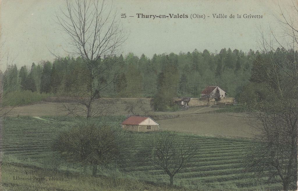60 - THURY-EN-VALOIS - 25 - Vallée de la Grivette - Librairie Payen - 23-06-22.jpg