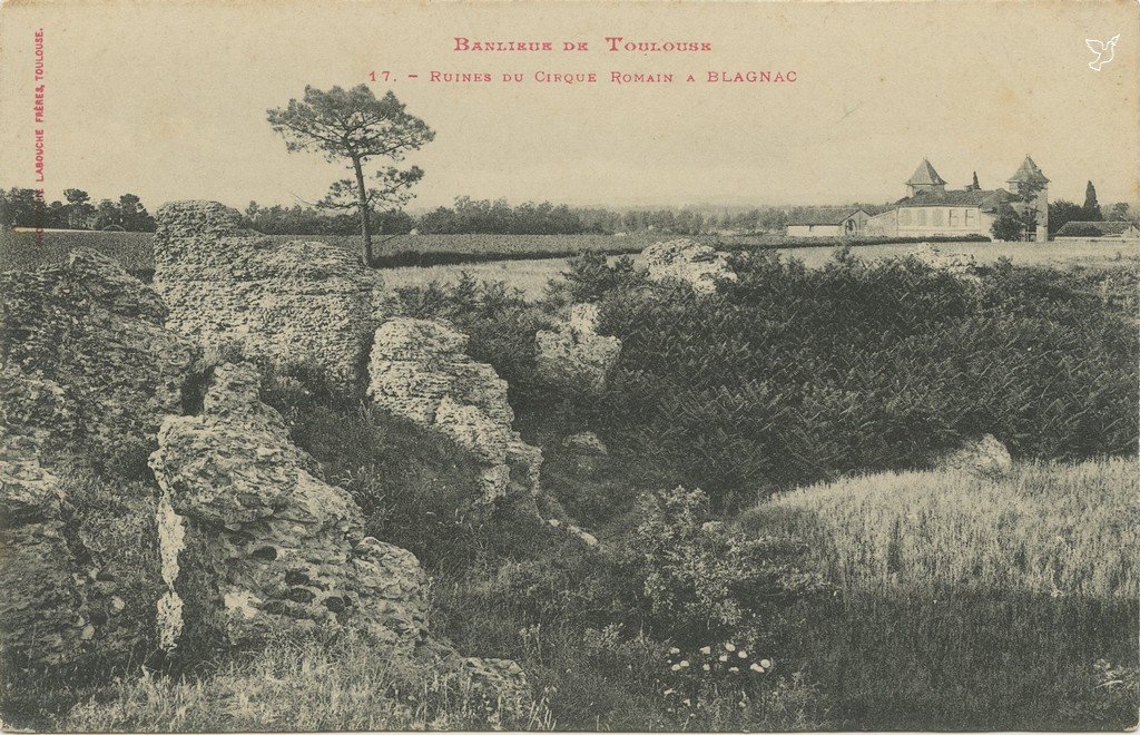 ZZ17 - Blagnac - Ruines cirque romain.jpg