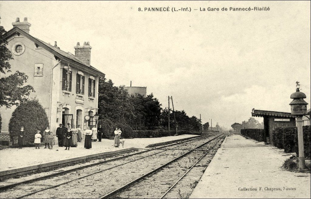 Pannecé-riaillé 8-1001-44-24-05-15.jpg