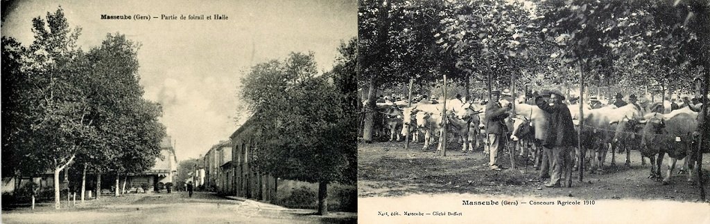 Masseube - Partie du Foirail et Halle aux grains - Concours agricole 1910 sur la place du Foirail.jpg