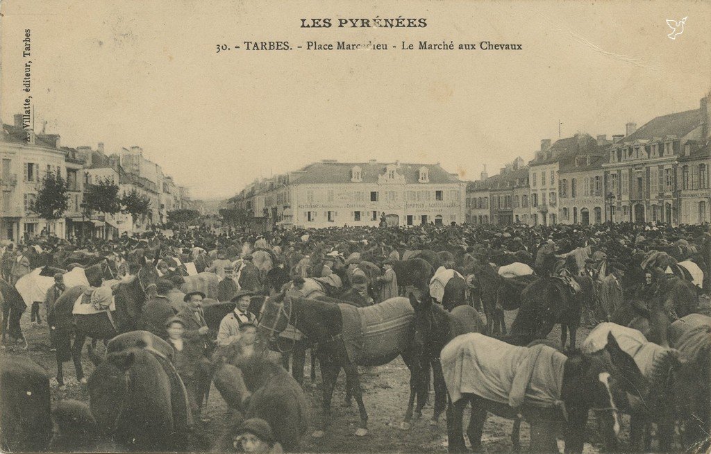 Z - 30 - Place Marcadieu - Marché aux chevaux.jpg