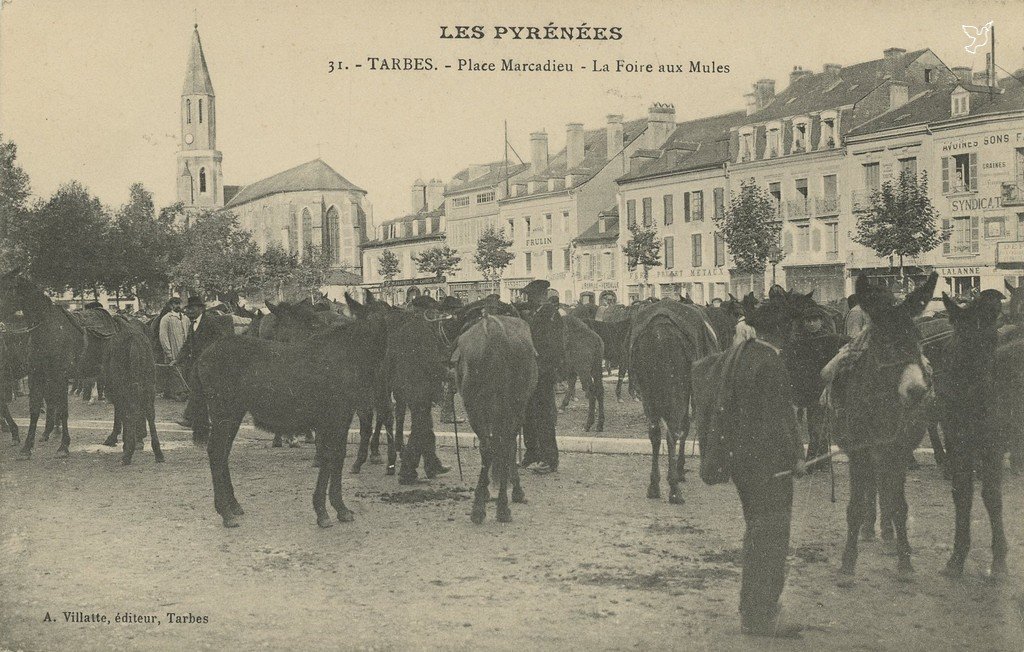 Z - 31 - Place Marcadieu - Foire aux mules.jpg