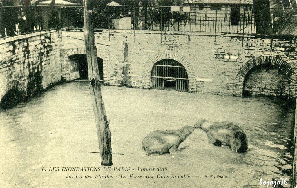 75-Paris-6 Les inondations BF.jpg