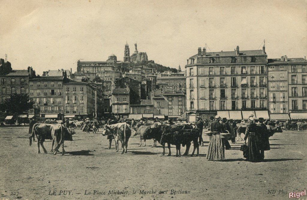 43-Le Puy - Place Michelet Marché aux Bestiaux 227 ND phot.jpg