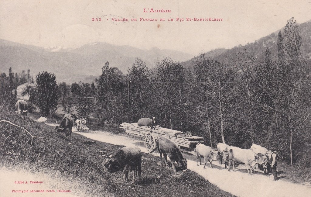 Fougax-et-Barrineuf - Vallée de Fougax et le pic St Barthélémy.jpg