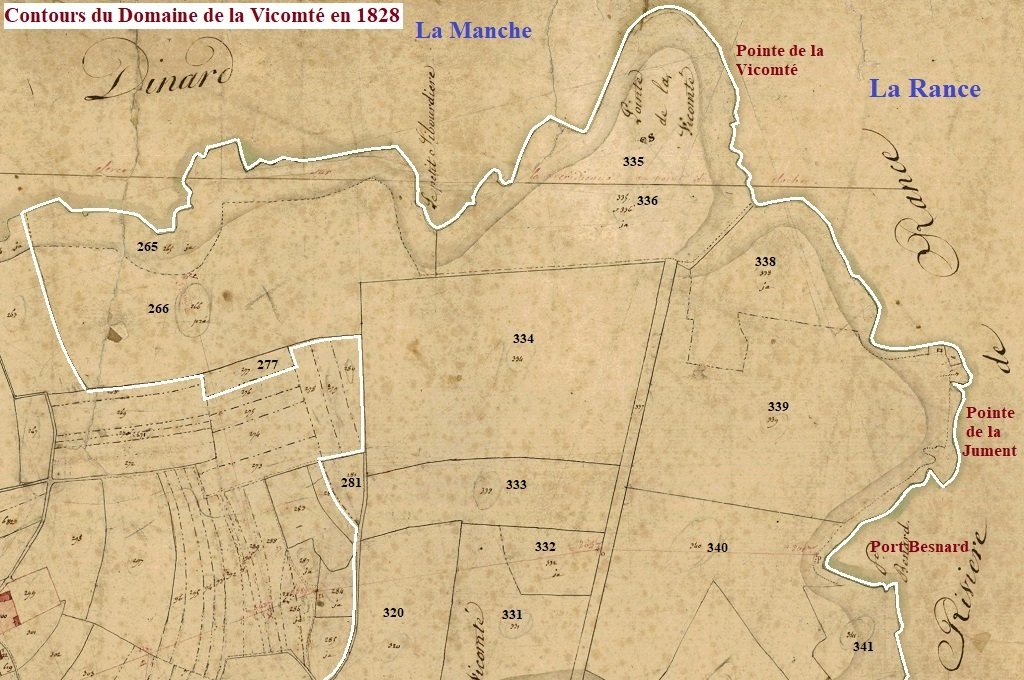 01 La Vicomté plan 1828 et composition des lots cadastraux.jpg