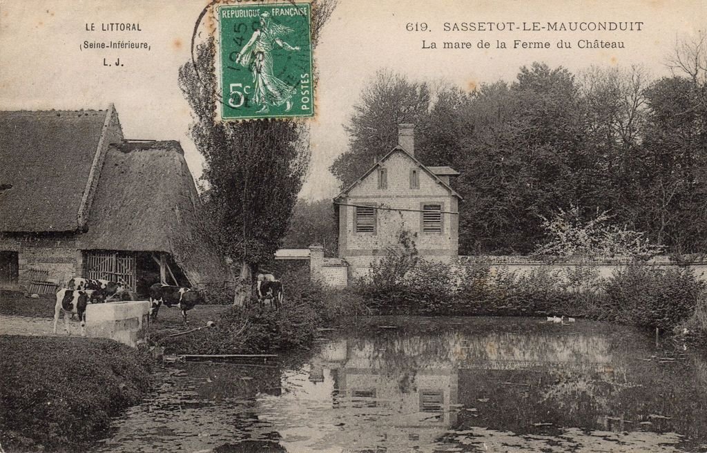 76 - SASSETOT-LE-MAUCONDUIT - 619 - La Mare de la Ferme..- Coll. Antoine Proffit - L.J. - 05-11-22.jpg