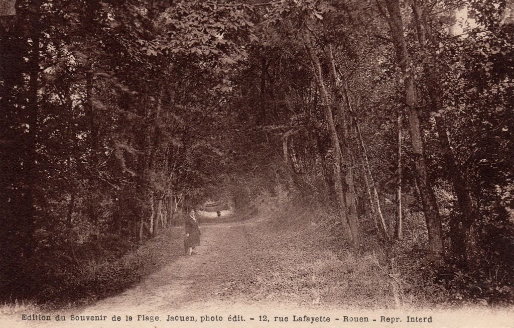 76 - LES PETITES DALLES - Avenue de l'Impératrice .. -  Coll. Ant. PROFFIT - Edition du Souvenir.. - 16-11-22.jpg