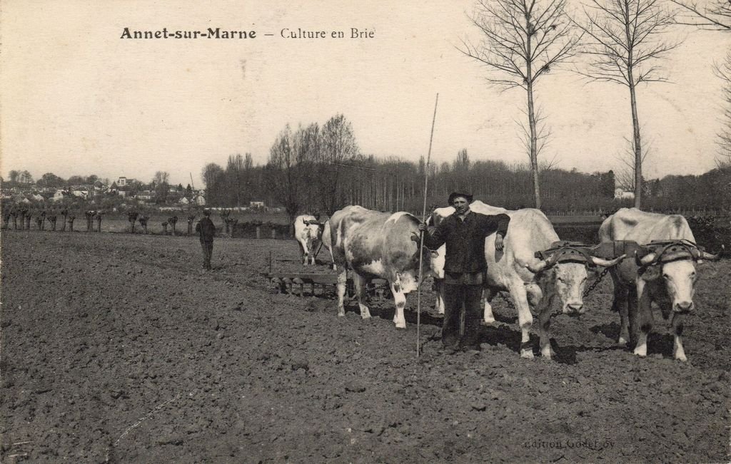 77 - ANNET-SUR-MARNE - Culture en Brie - Edition Godefroy - 15-01-23.jpg
