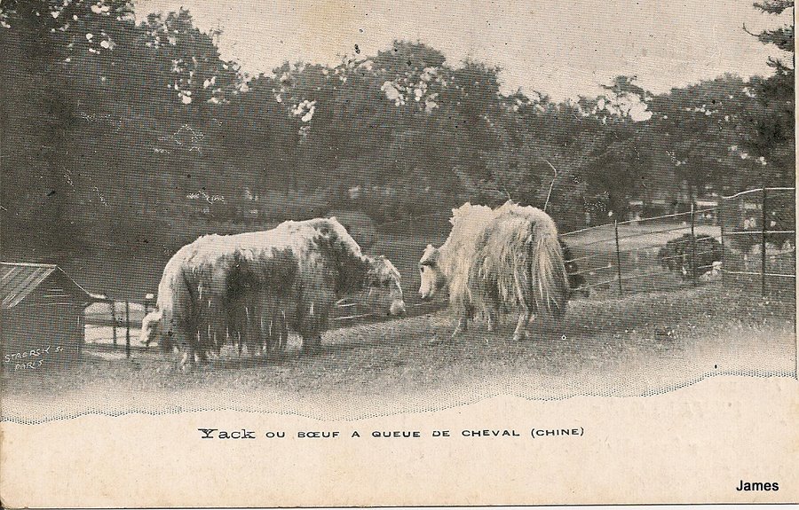 numérisation0049.jpg