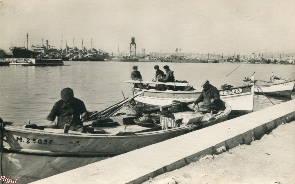 83-Toulon - Port de Pêche - 15 Editions Glatigny.jpg