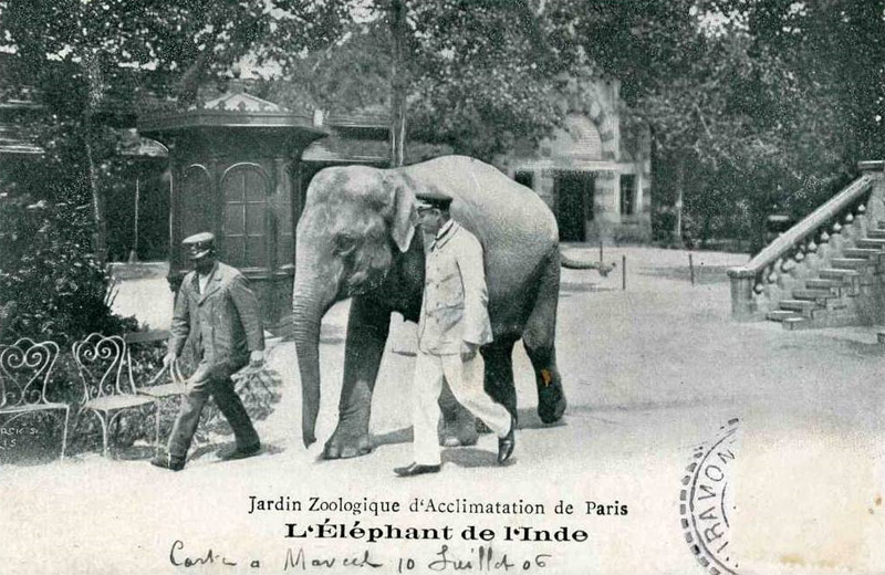 jardin.jpg