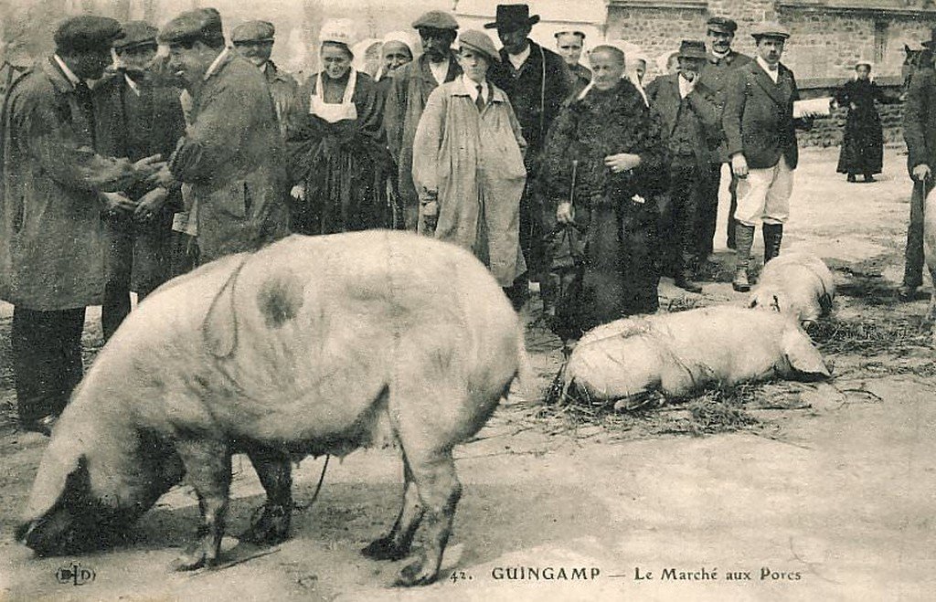 Cochon Guingamp-marche-porcs Kokabora  8-04-10   816.jpg
