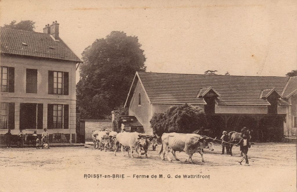 77 - ROISSY-EN-BRIE - Ferme de M. G. de Wattriifont - ENP - 14-01-23.jpg