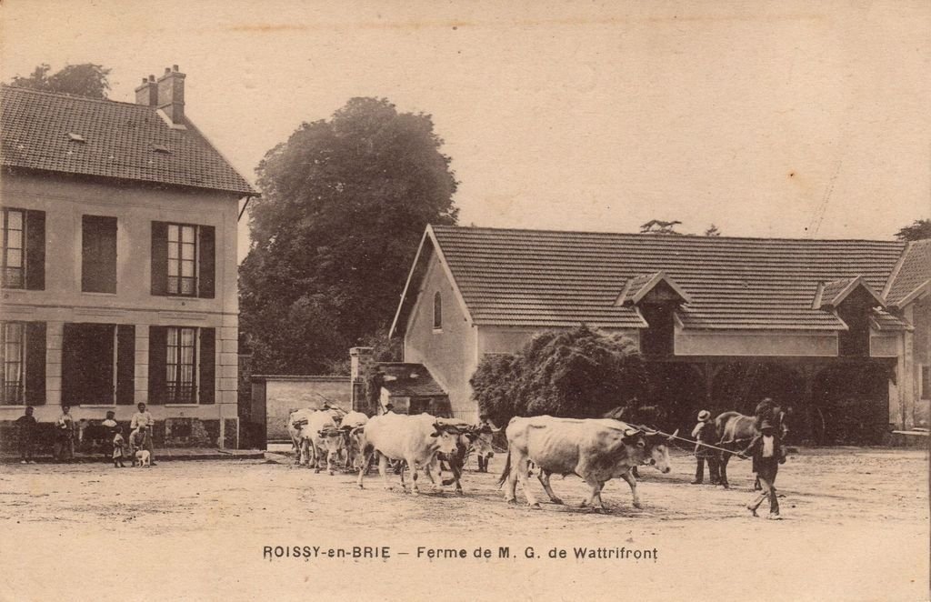 Bovins - ROISSY-EN-BRIE - Ferme de M. G. de Wattriifont - ENP - 14-01-23.jpg