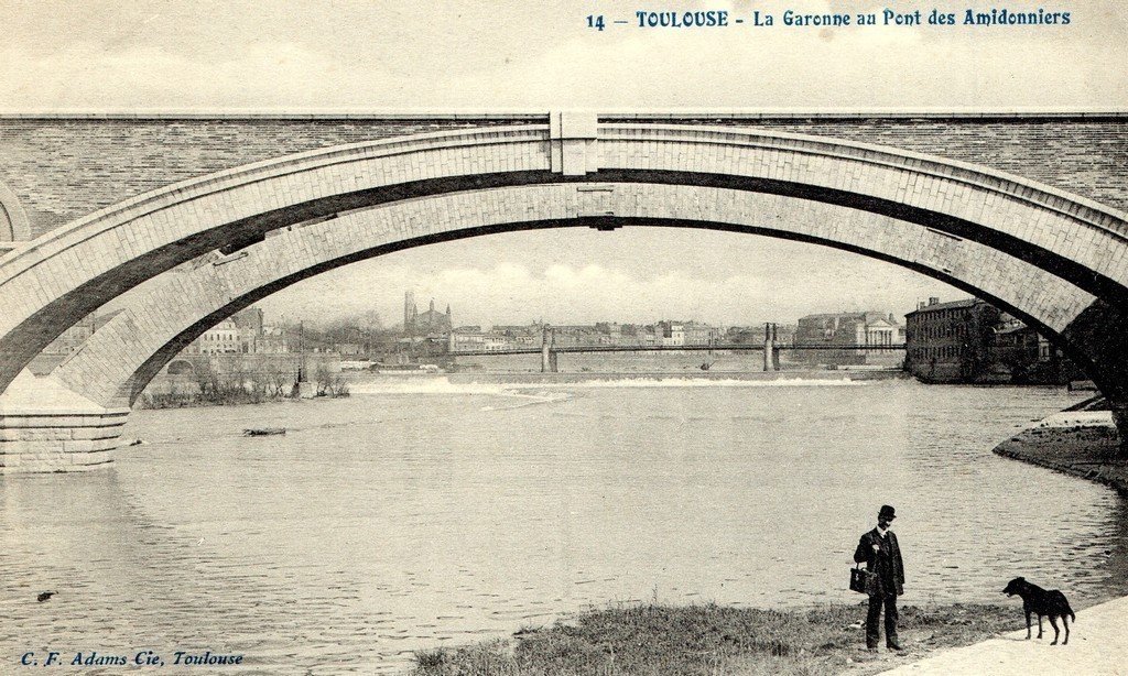 Toulouse - Pont des Amidonniers (14)-614-13-07-19-31.jpg