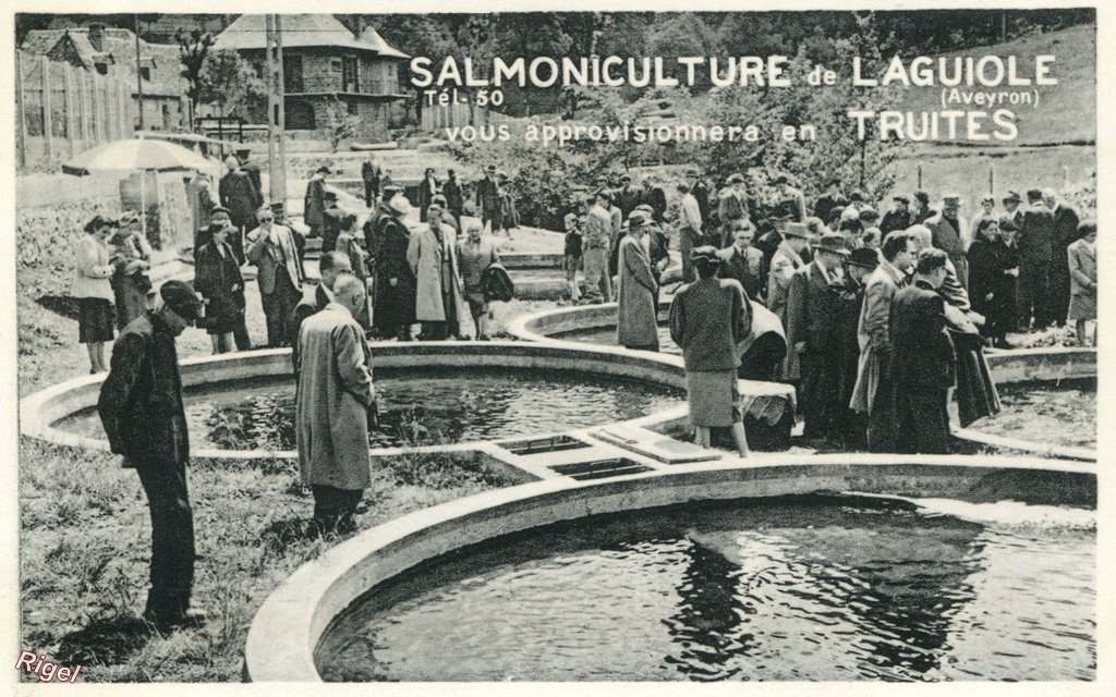 12-Lagiole - Salmoniculture - Brasserie Lipp-Balzar.jpg