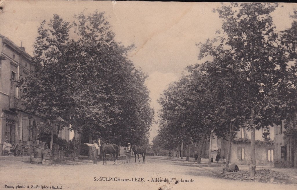 Saint-Sulpice-sur-Lèze - Allée de l'Esplanade.jpg