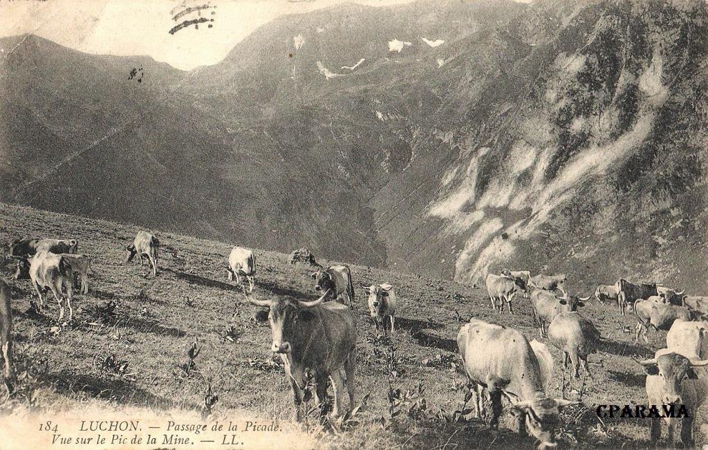 Luchon LL 184.jpg