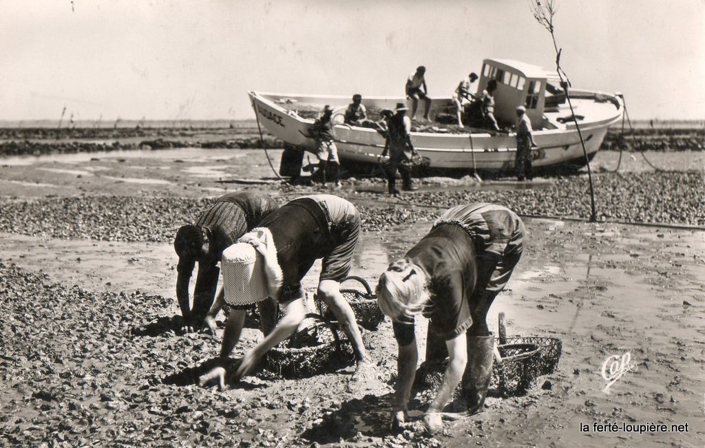 Ile d'Oéron la Pêhe et le triage des huitres - CAP - Mimigégé 26-04-23.jpg