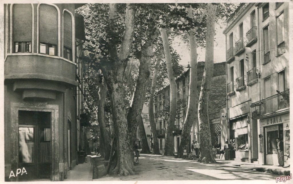 66-Céret Pyrenées Orientales - Boulevard Jean Jaurès - 14 APA.jpg